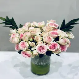 Baby Roses